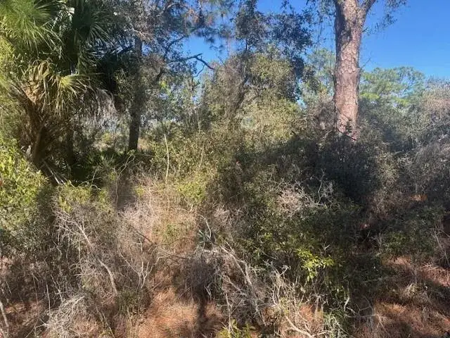 221 Rainbow Drive, Lake Placid FL 33852
