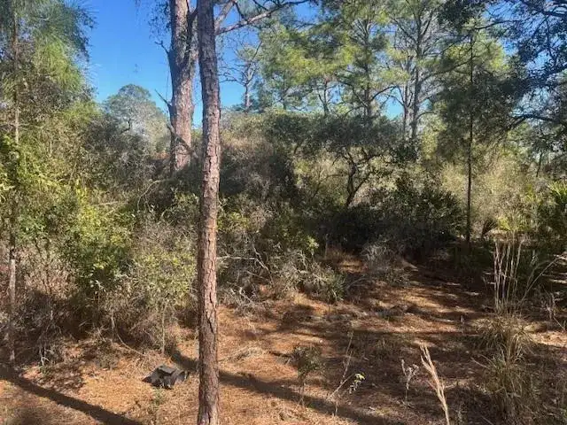 221 Rainbow Drive, Lake Placid FL 33852 photo 2