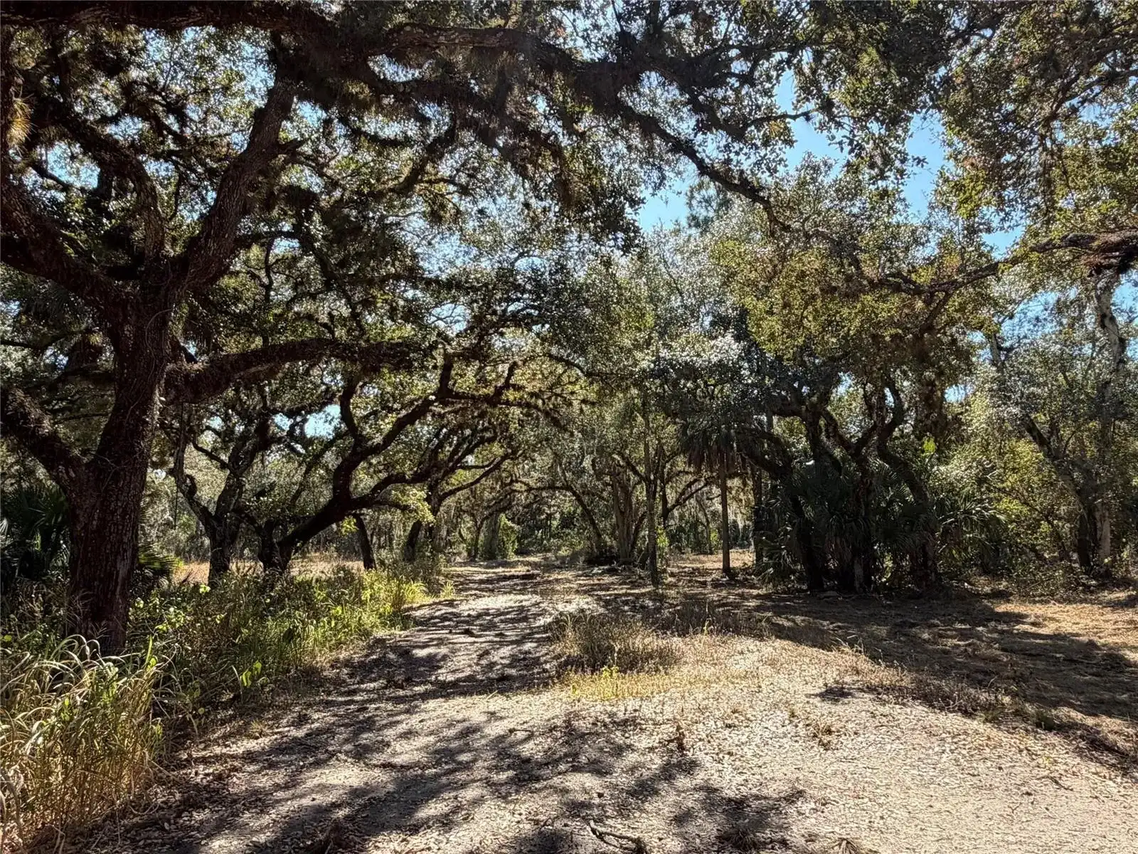 Tbd SE 40th Avenue, Okeechobee FL 34974