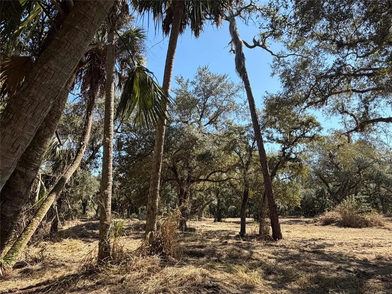 Tbd SE 40th Avenue, Okeechobee FL 34974 photo 2