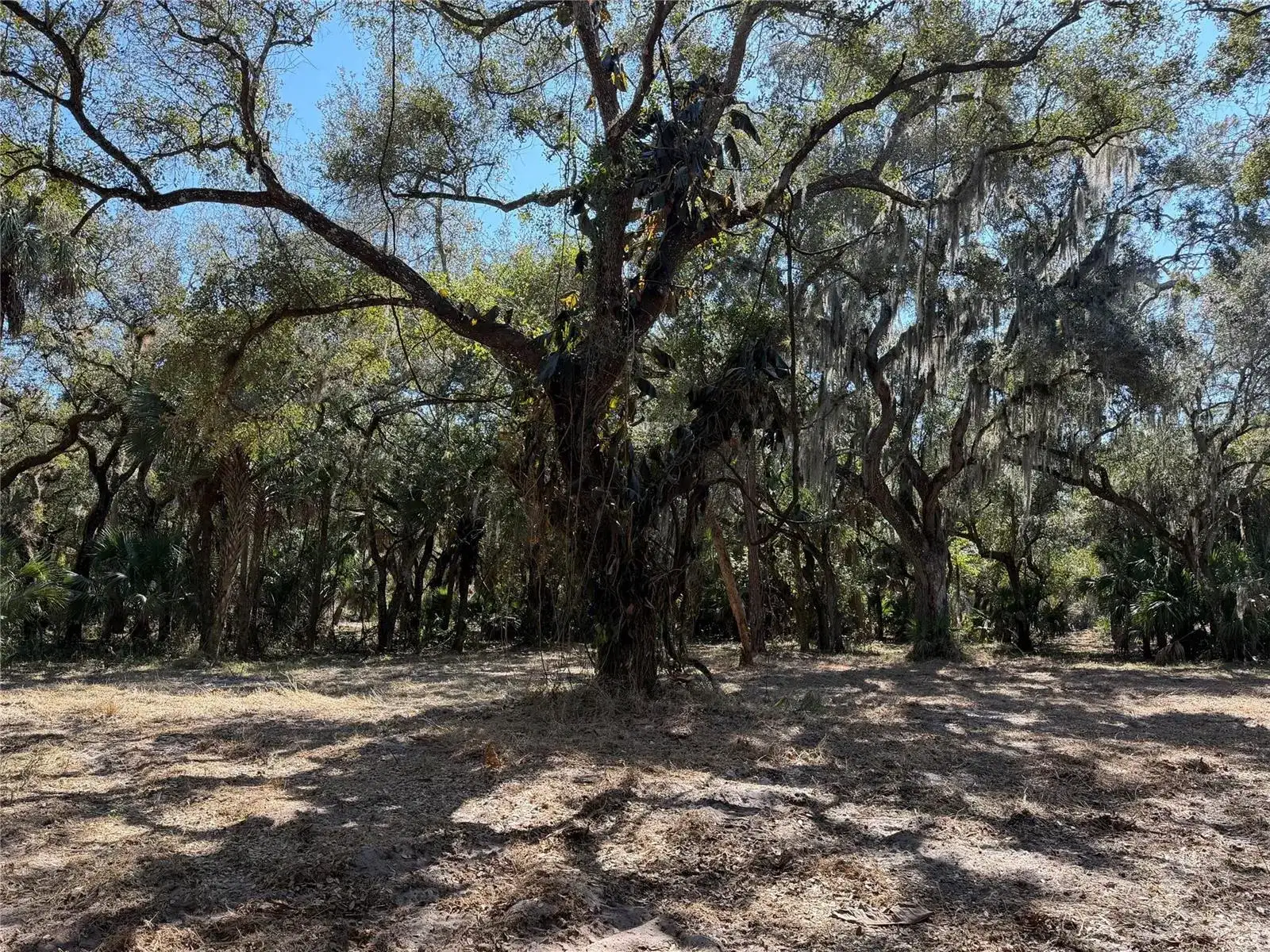 Tbd SE 40th Avenue, Okeechobee FL 34974 photo 3