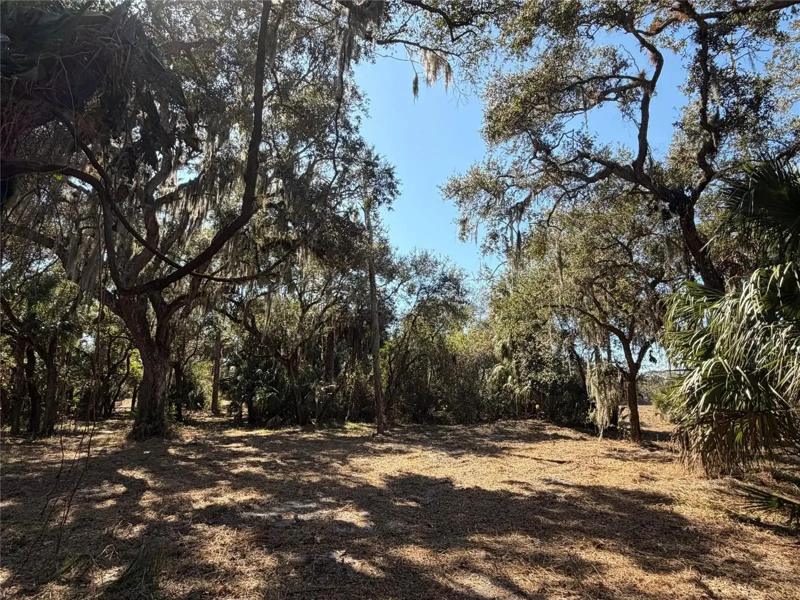 Tbd SE 40th Avenue, Okeechobee FL 34974 photo 4