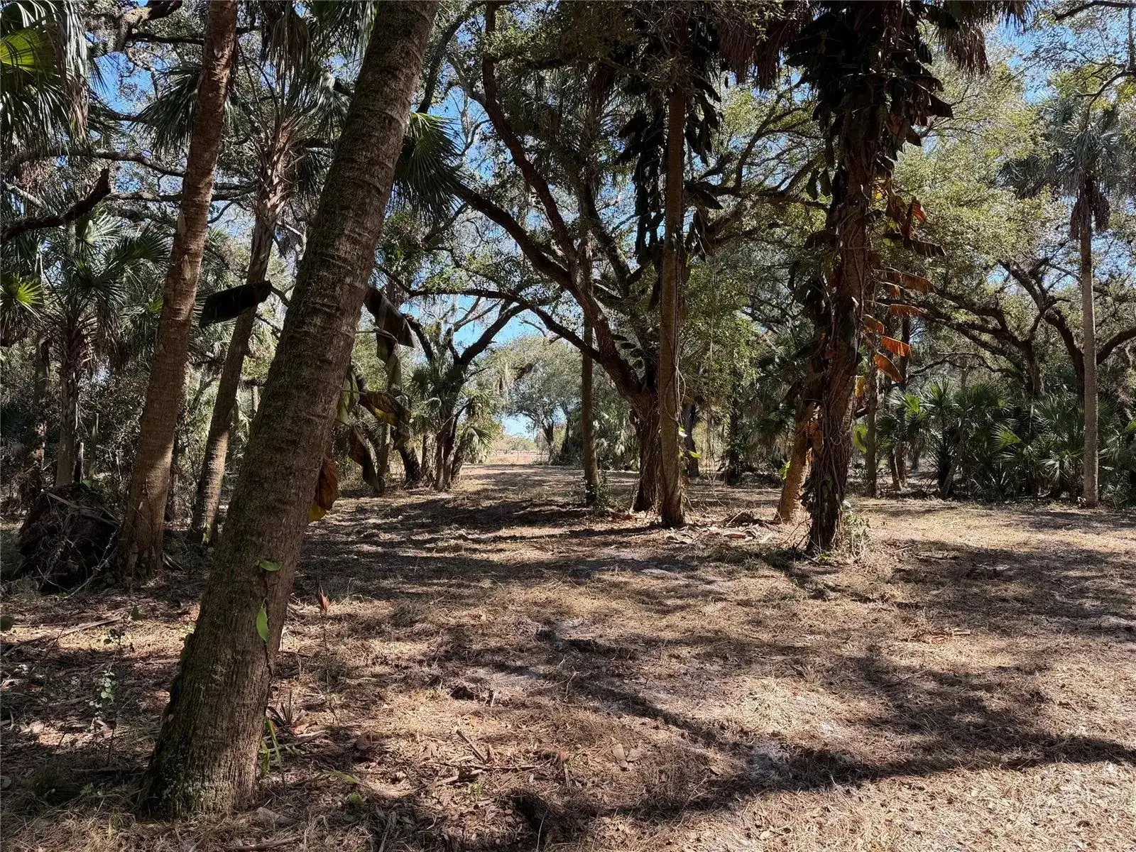 Tbd SE 40th Avenue, Okeechobee FL 34974 photo 5
