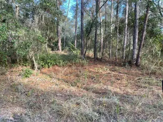 417 Incline, FL 32189