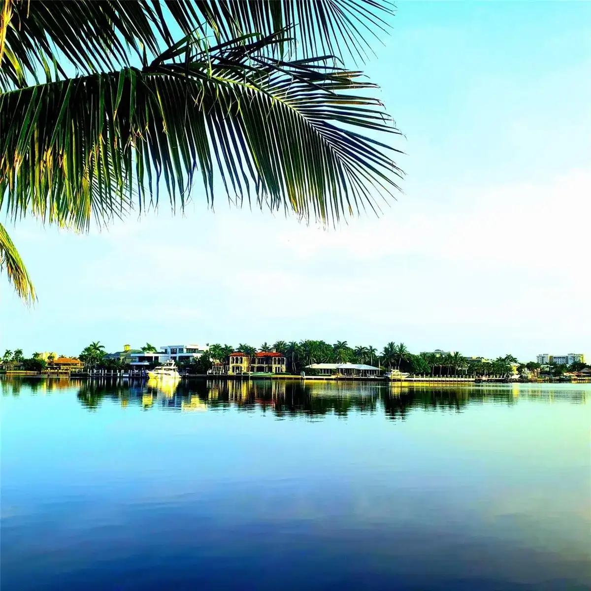 2617 Aqua Vista Boulevard, Fort Lauderdale FL 33301 photo 4