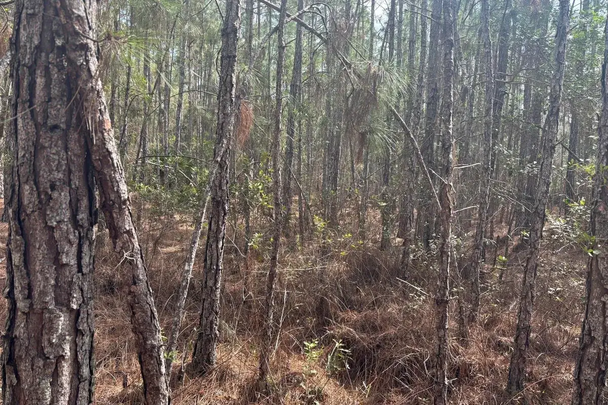 0 Old Grade Road, FL 33868