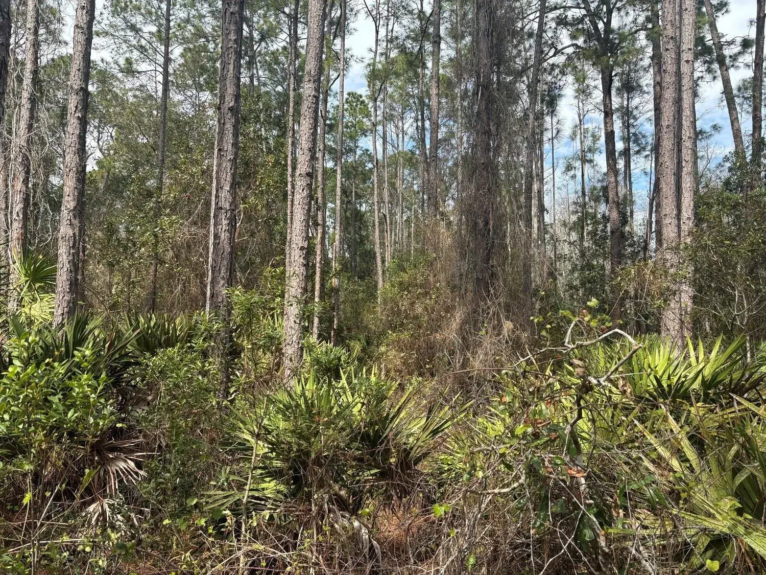 0 Old Grade Road, FL 33868