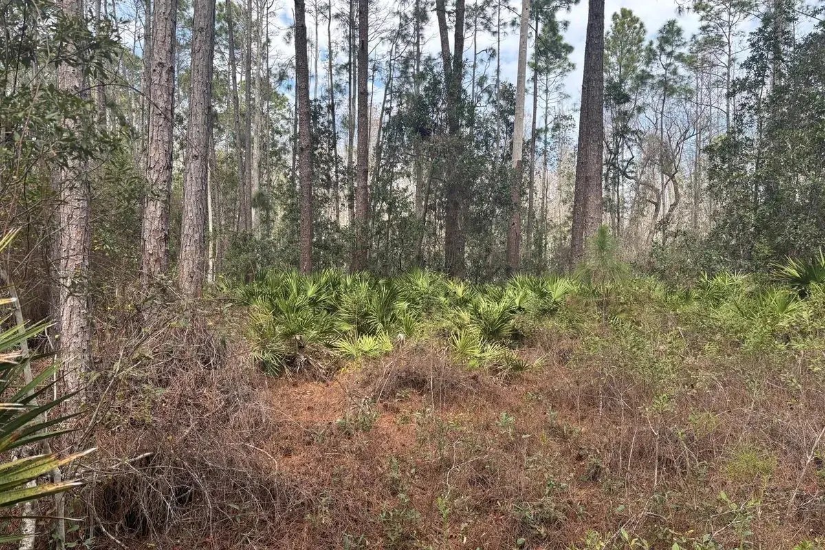 0 Old Grade Road, FL 33868