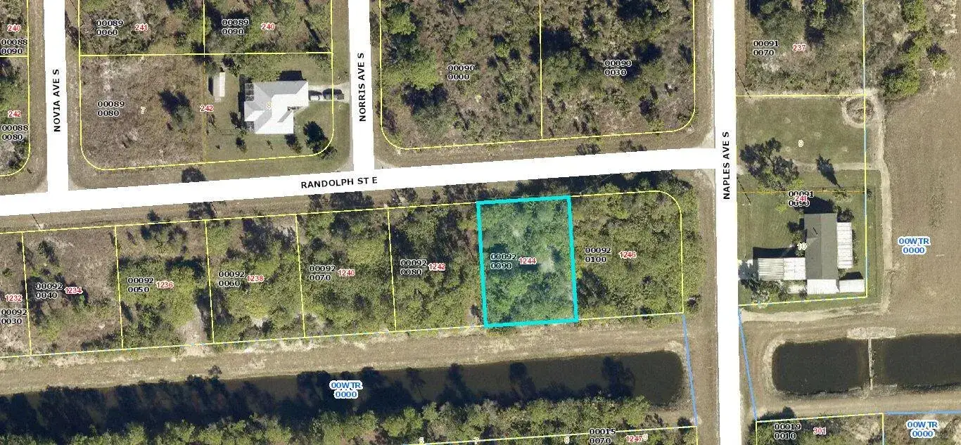 1244 Randolph Street, Lehigh Acres FL 33974