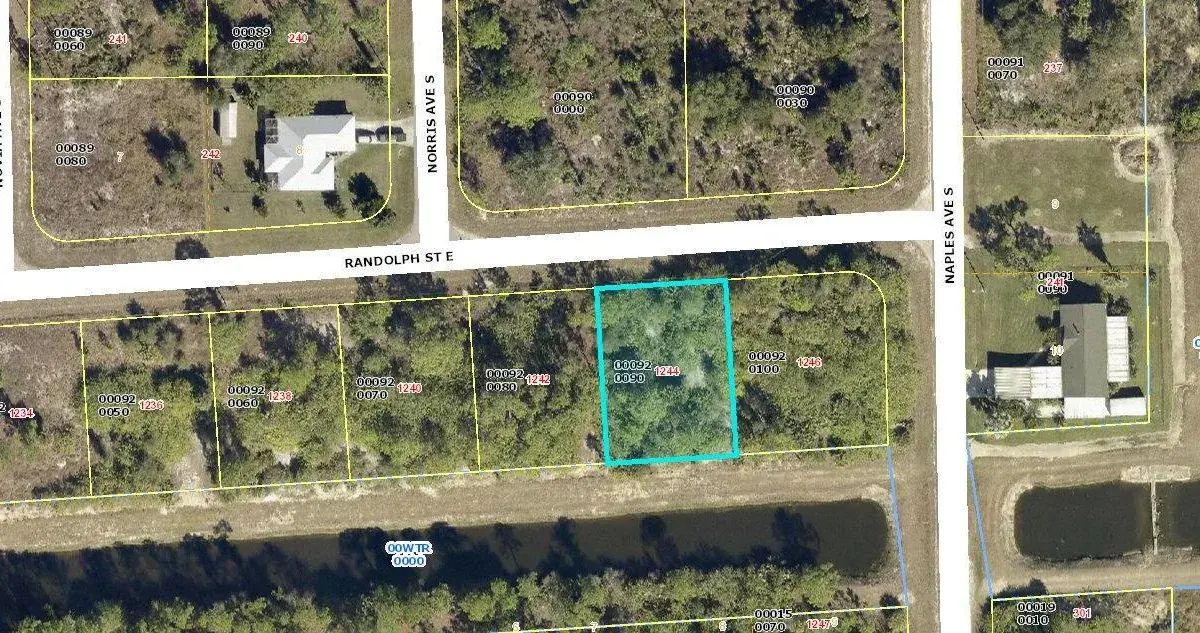 1244 Randolph Street, Lehigh Acres FL 33974