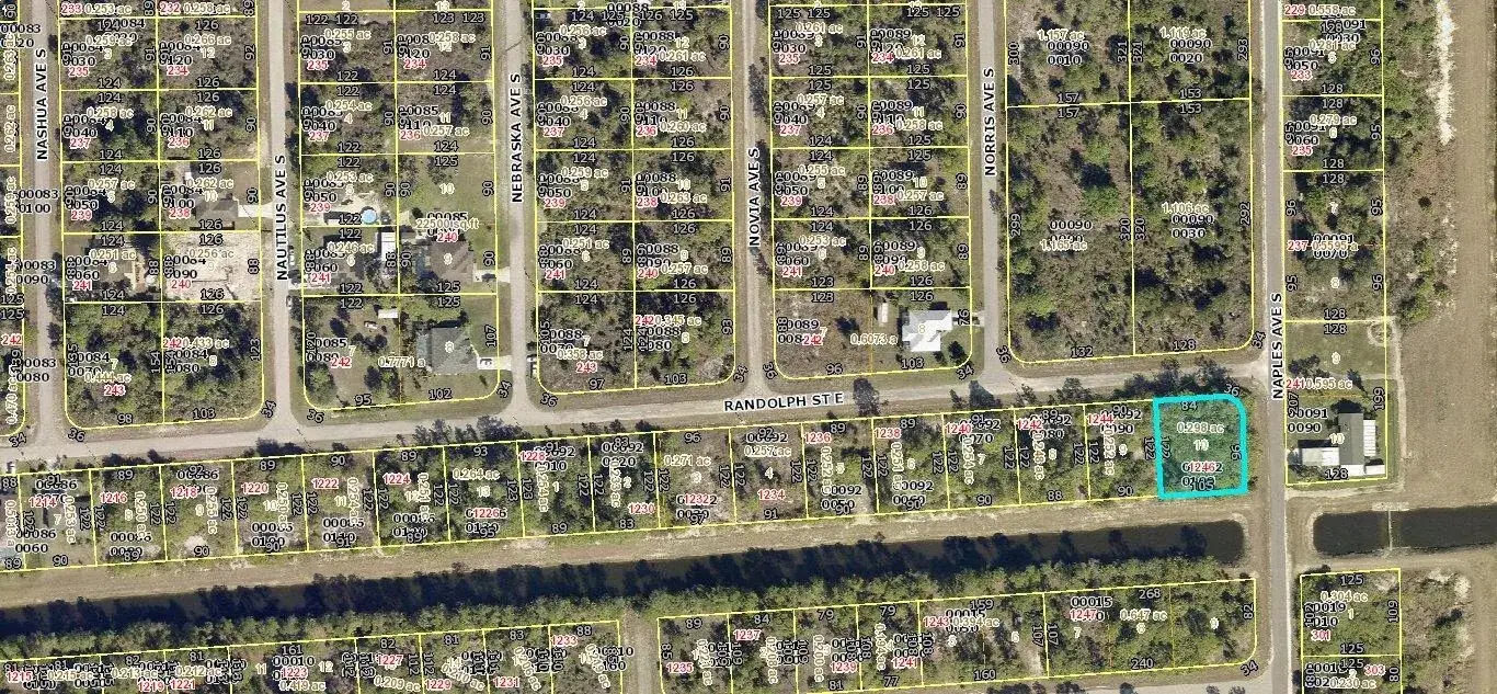 1246 Randolph Street, Lehigh Acres FL 33974 photo 3