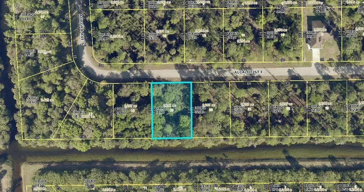 920 Alcalde Street E, Lehigh Acres FL 33974