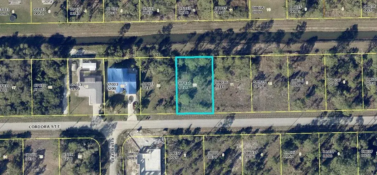 1229 Cordoba Street E, Lehigh Acres FL 33974