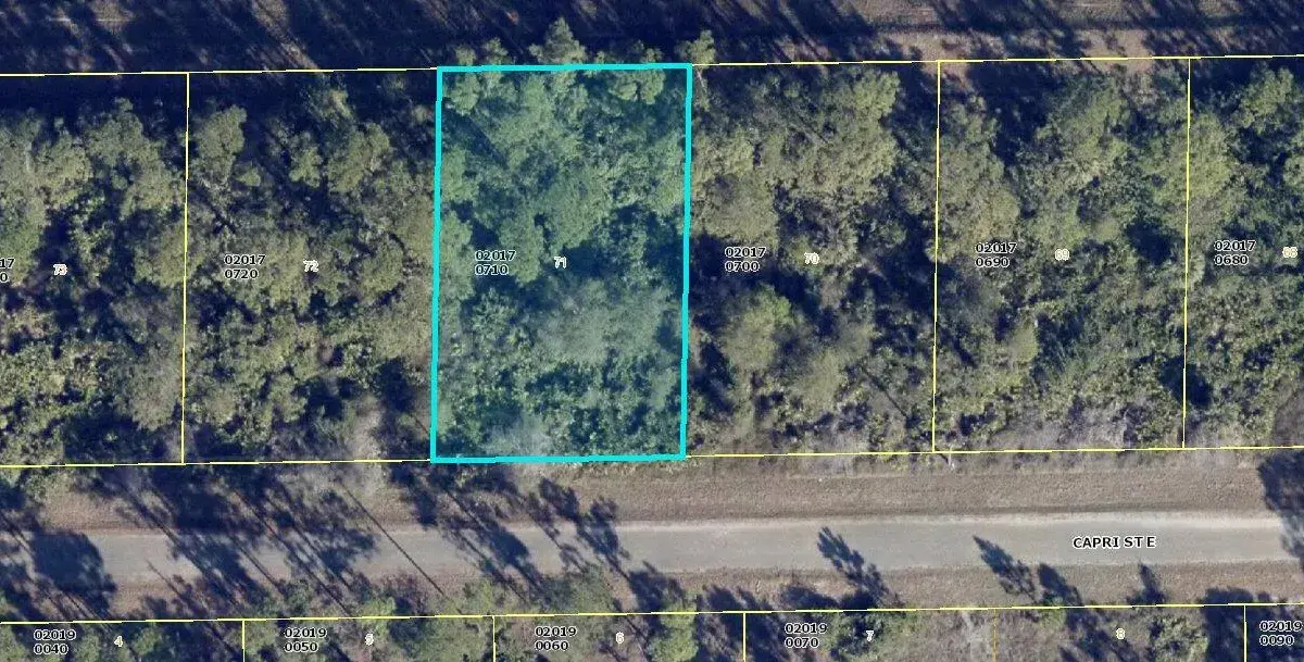 1113 Capri Street E, Lehigh Acres FL 33974