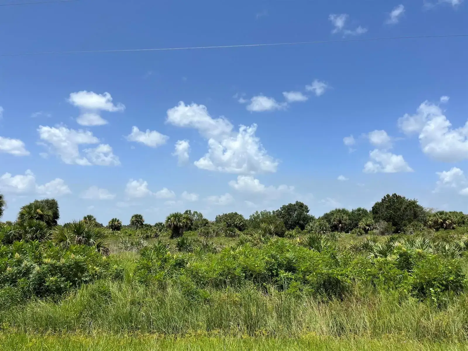 18325 NW 278th Street, Okeechobee FL 34972 photo 2