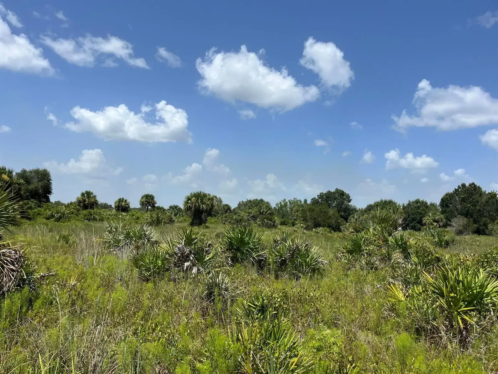 18325 NW 278th Street, Okeechobee FL 34972 photo 5