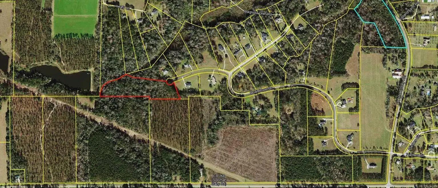 Tbd W Quail Roost Drive, FL 32352 photo 2