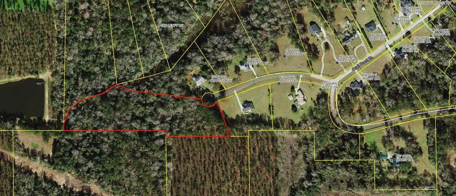 Tbd W Quail Roost Drive, FL 32352 photo 3
