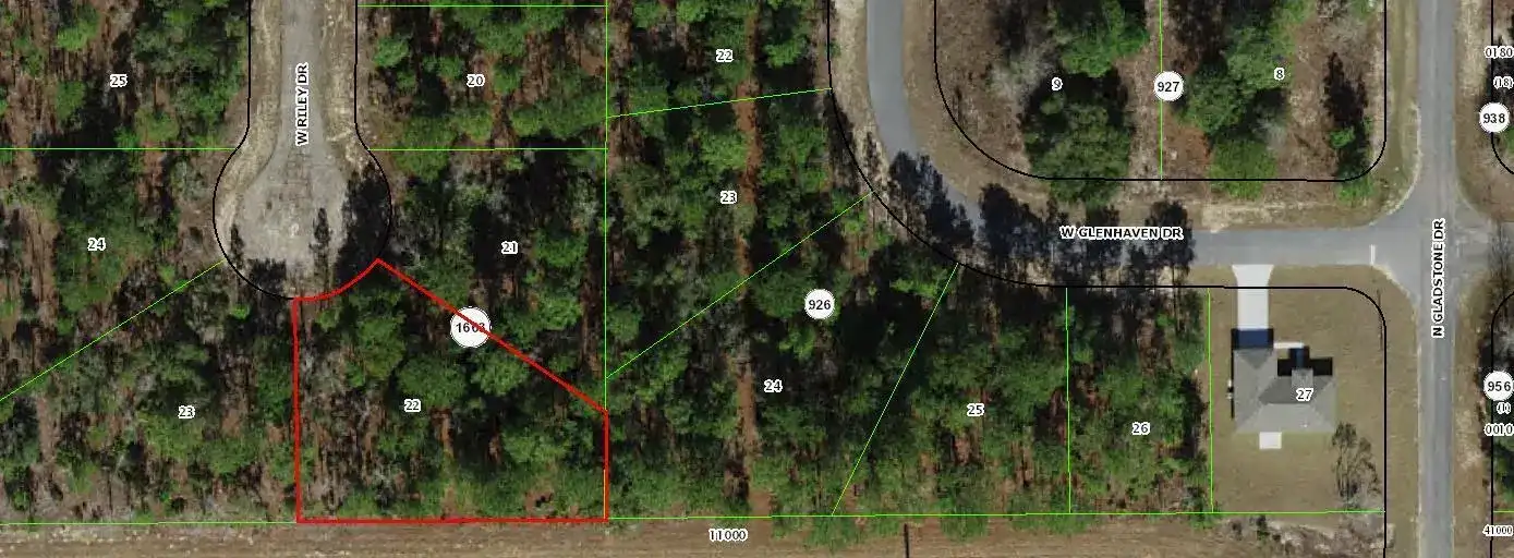 1005 W Riley Drive, FL 34434 photo 2