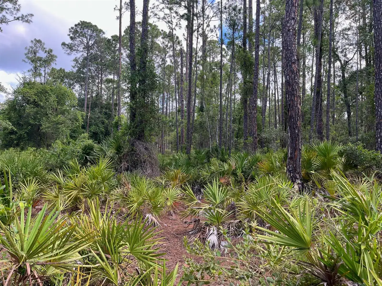 222 Marie Avenue, FL 32139 photo 2
