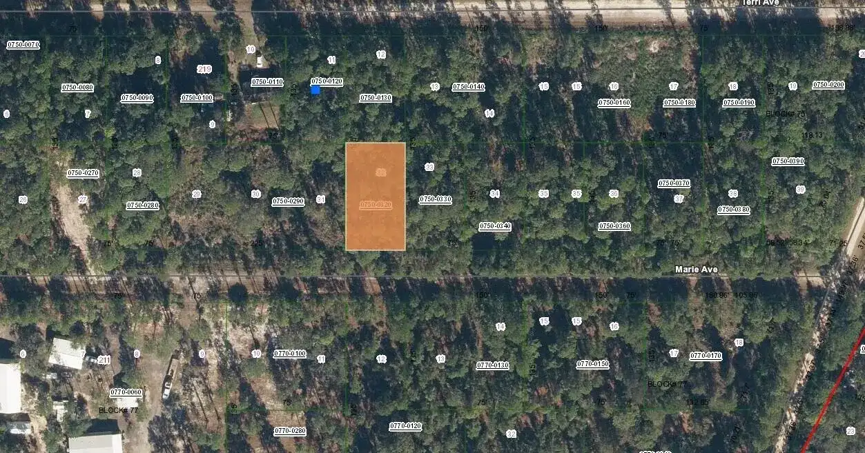 222 Marie Avenue, FL 32139 photo 3