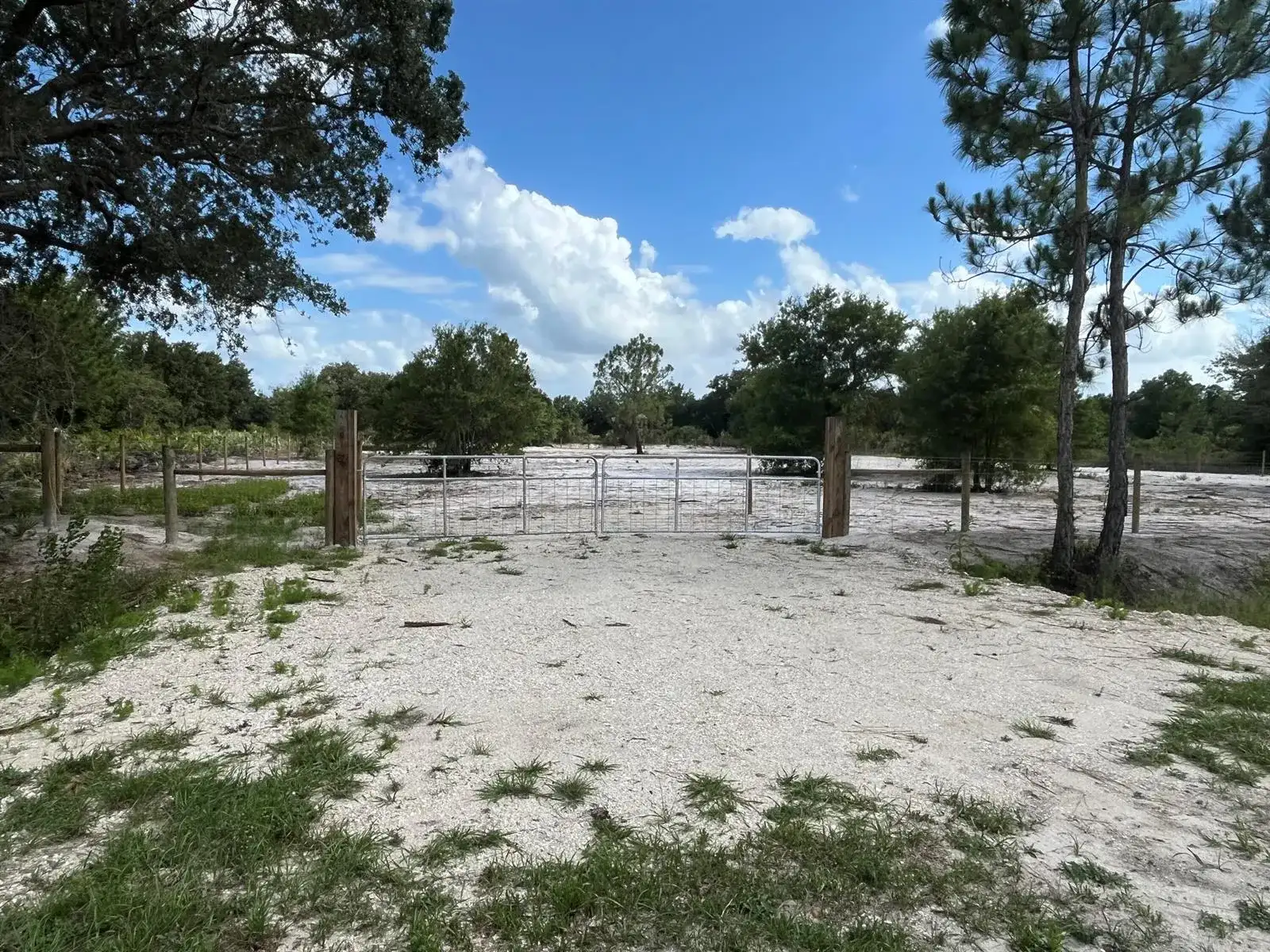 16916 NW 262nd Street, Okeechobee FL 34972 photo 2