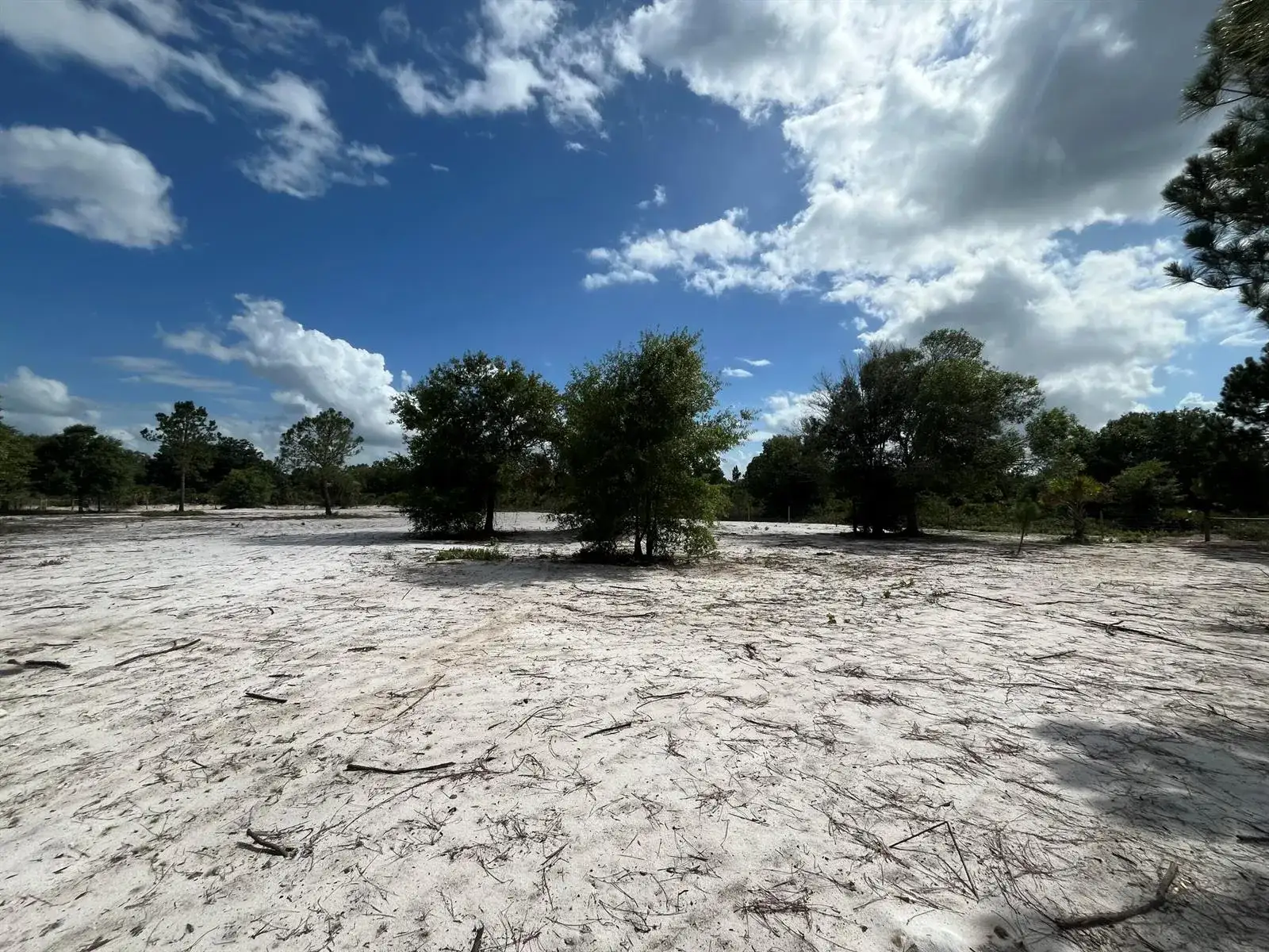 16916 NW 262nd Street, Okeechobee FL 34972 photo 4