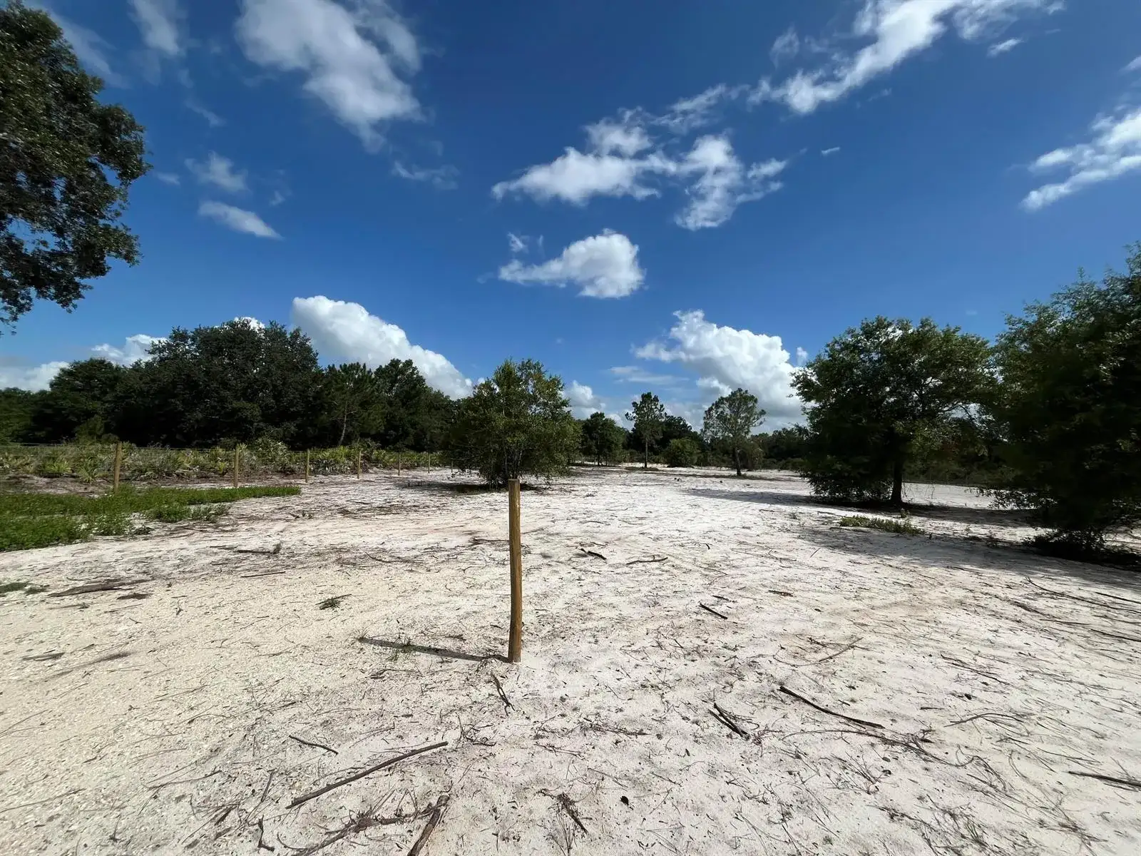 16916 NW 262nd Street, Okeechobee FL 34972 photo 5