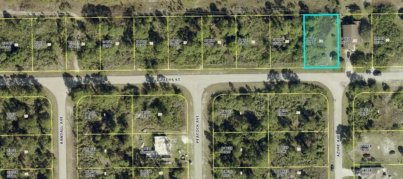 1045 Gladys Street, Lehigh Acres FL 33974 photo 2