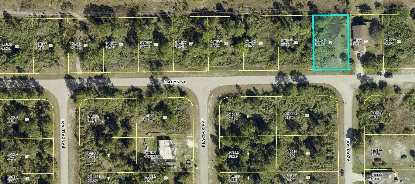 1045 Gladys Street, Lehigh Acres FL 33974