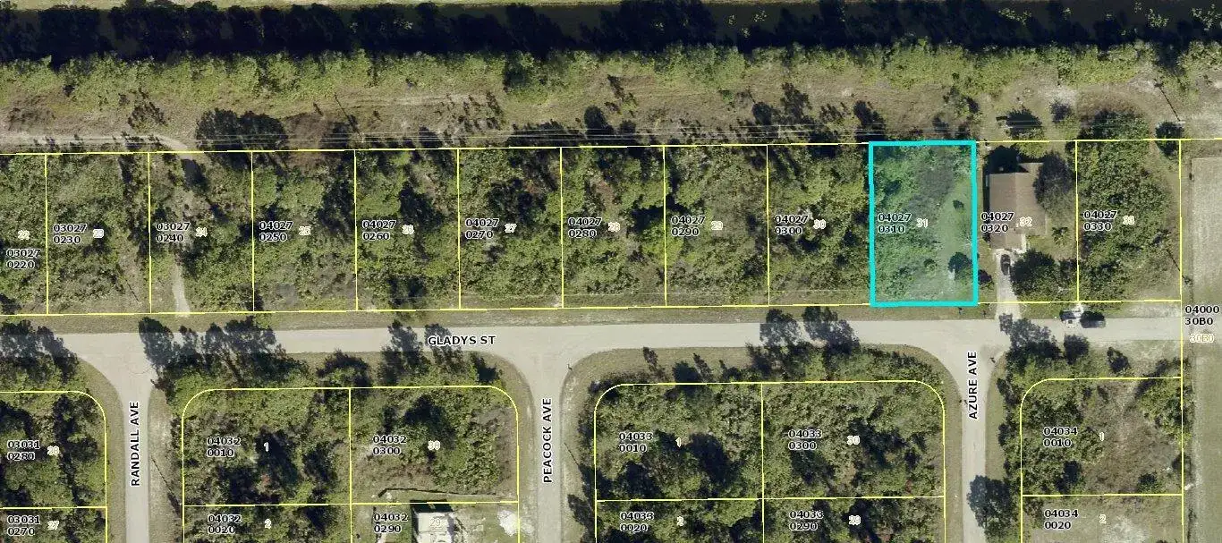 1045 Gladys Street, Lehigh Acres FL 33974 photo 3