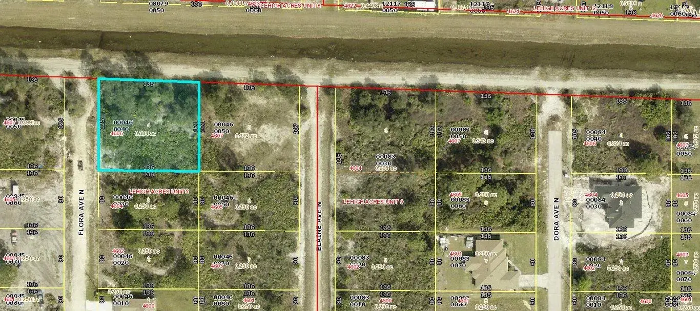 4606 Flora Avenue N, Lehigh Acres FL 33971