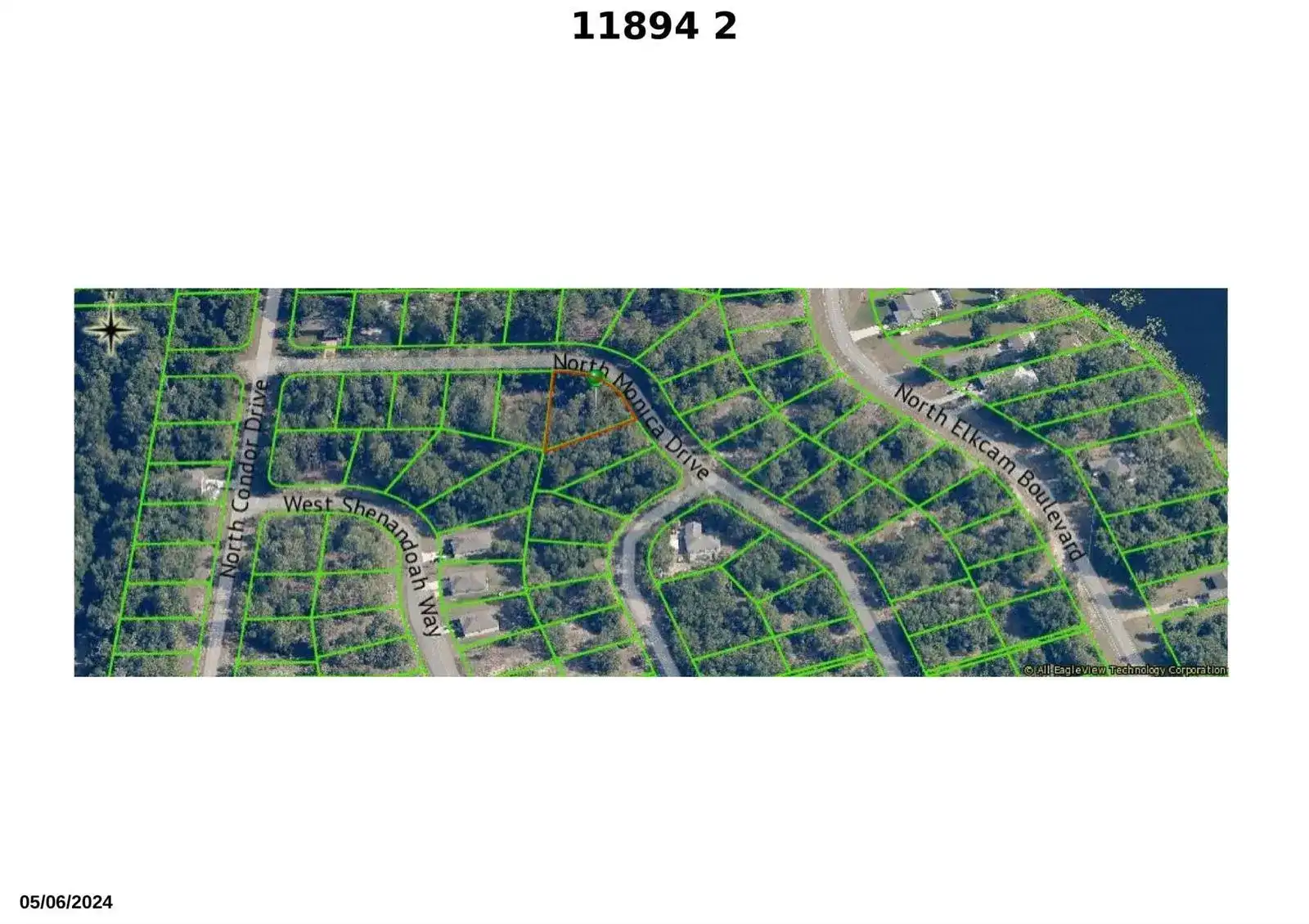 11894 N Monica Drive, FL 34433 photo 2
