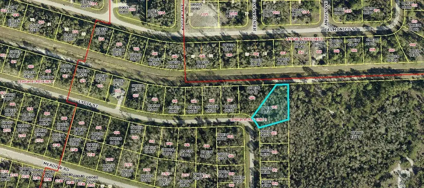 651 Lydia Street, Lehigh Acres FL 33974 photo 2