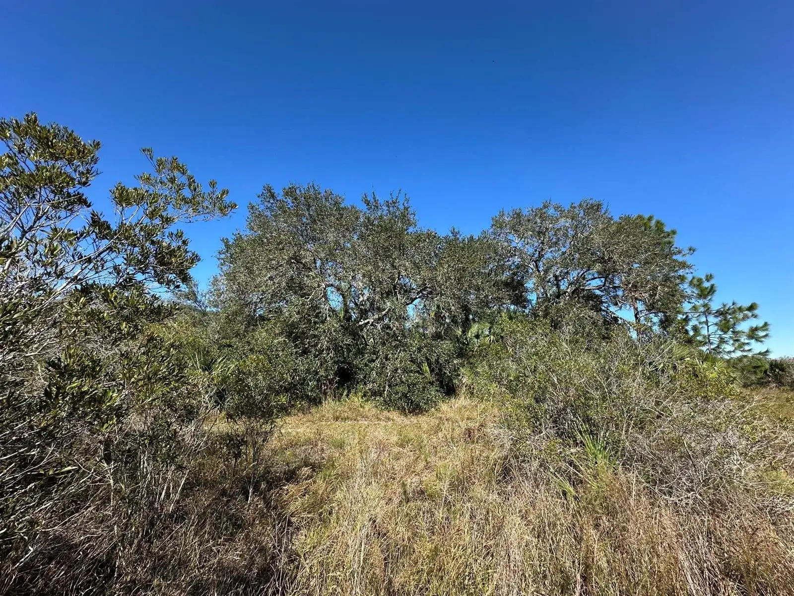 15415 NW 292nd Street, Okeechobee FL 34972 photo 2