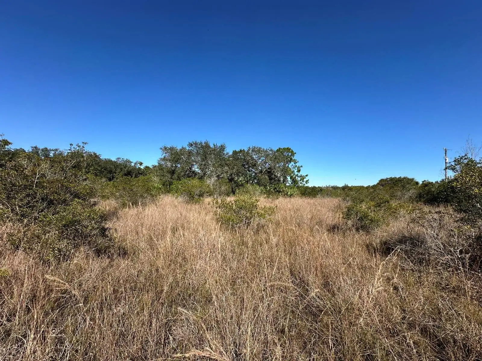 15415 NW 292nd Street, Okeechobee FL 34972 photo 4
