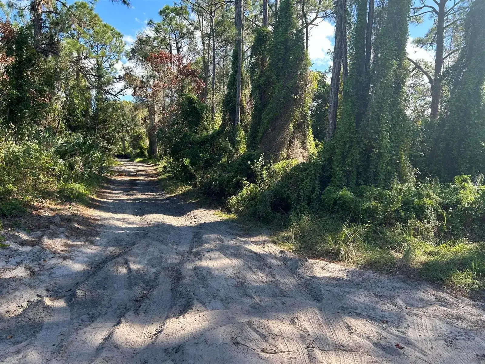 0 Slash Pine Trail, Fort Pierce FL 34945 photo 2