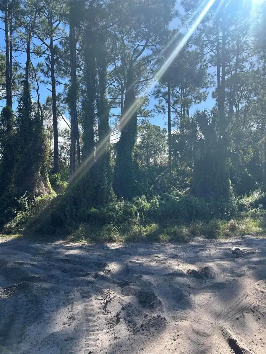 0 Slash Pine Trail, Fort Pierce FL 34945 photo 3