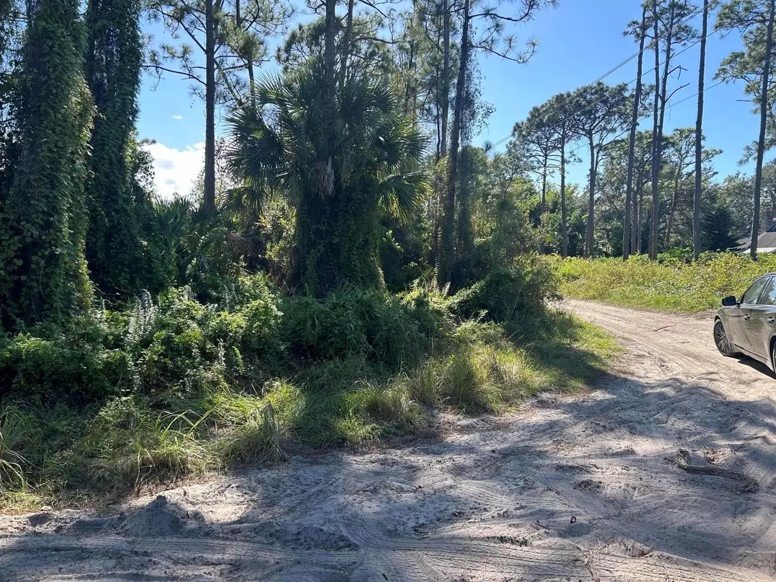 0 Slash Pine Trail, Fort Pierce FL 34945 photo 4
