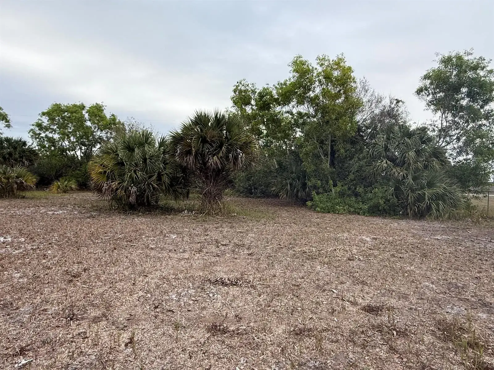 754 Hunting Club Avenue, Clewiston FL 33440 photo 4