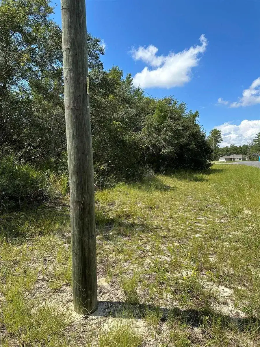 0000 SW 168th Loop, FL 34473 photo 3