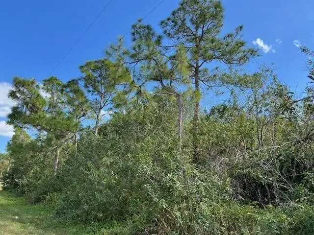''17992'' 94th Street N, Loxahatchee FL 33470 photo 4