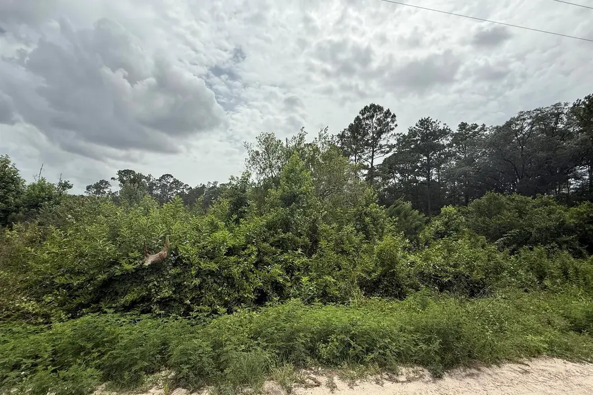 129 Fishermans Drive, FL 32148