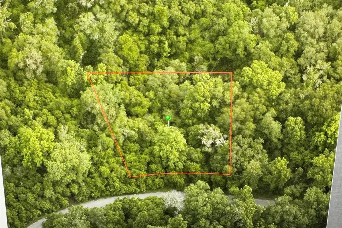 6761 E Dogwood Hammock Drive, Inverness FL 34453