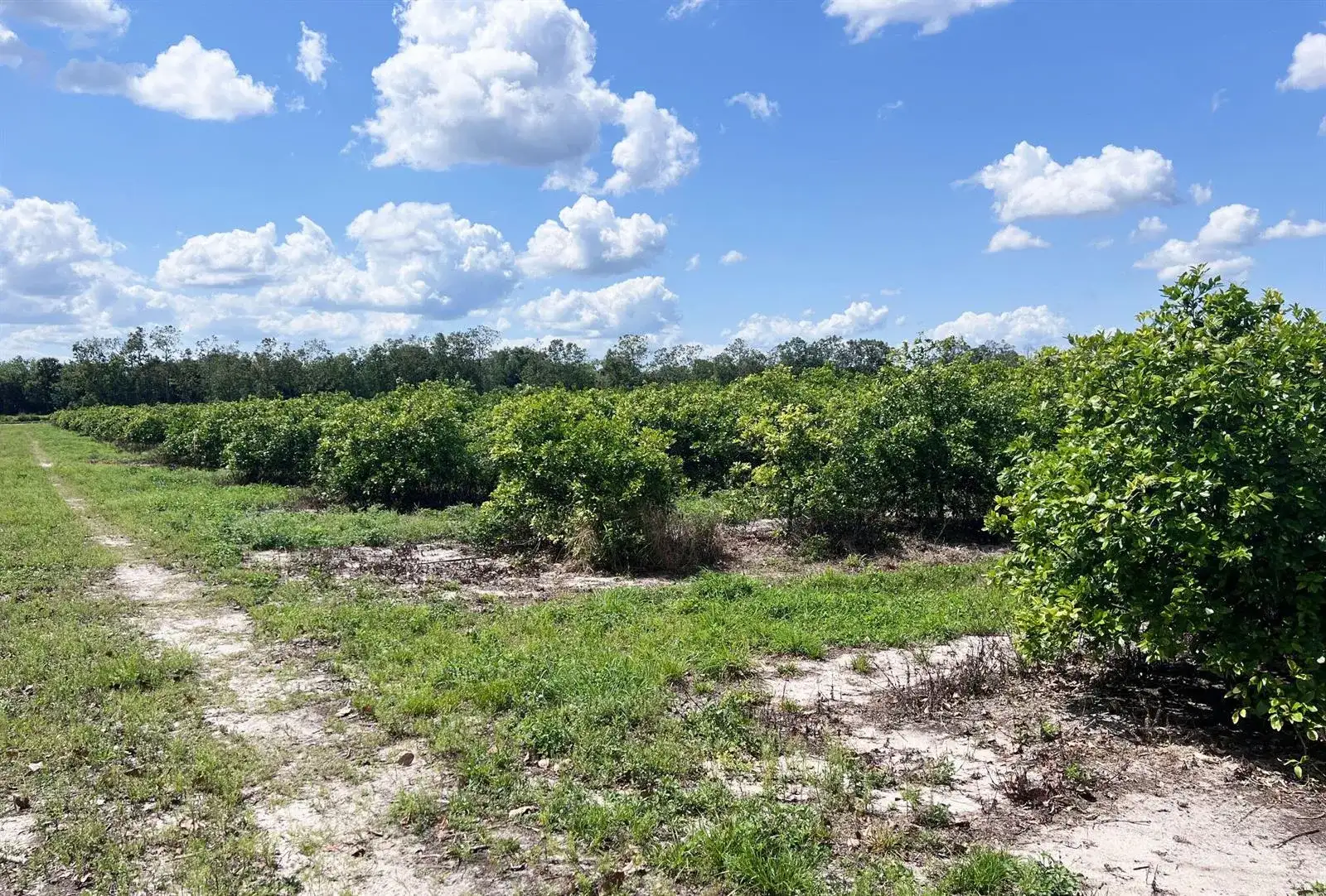 Tbd Orange Avenue Extension, Fort Pierce FL 34945 photo 3