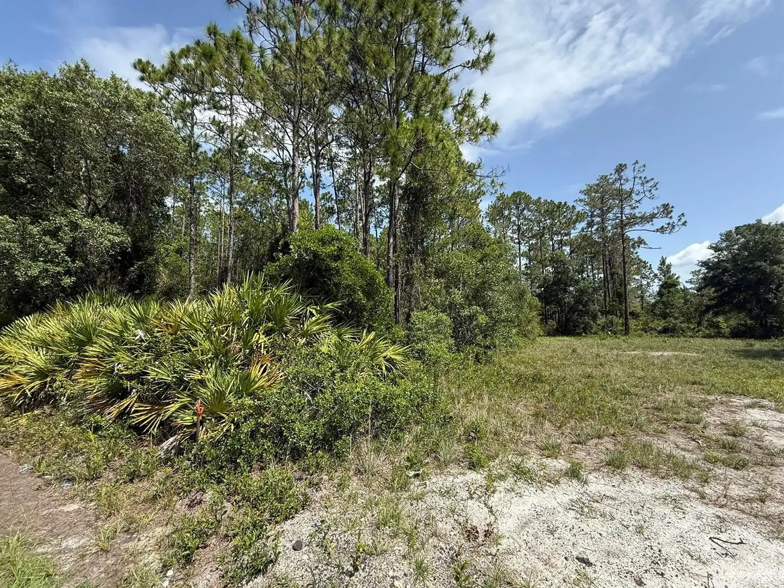 174 Millican Road, Palatka FL 32177