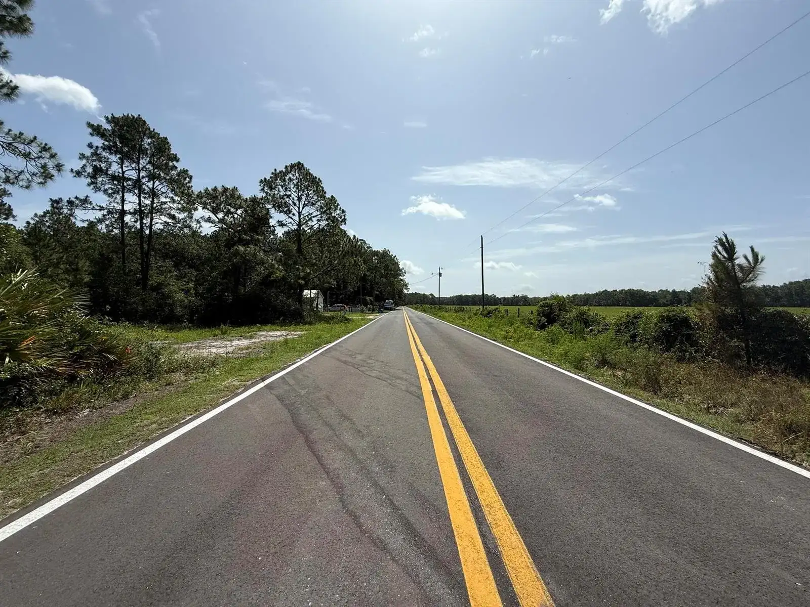 174 Millican Road, Palatka FL 32177 photo 3