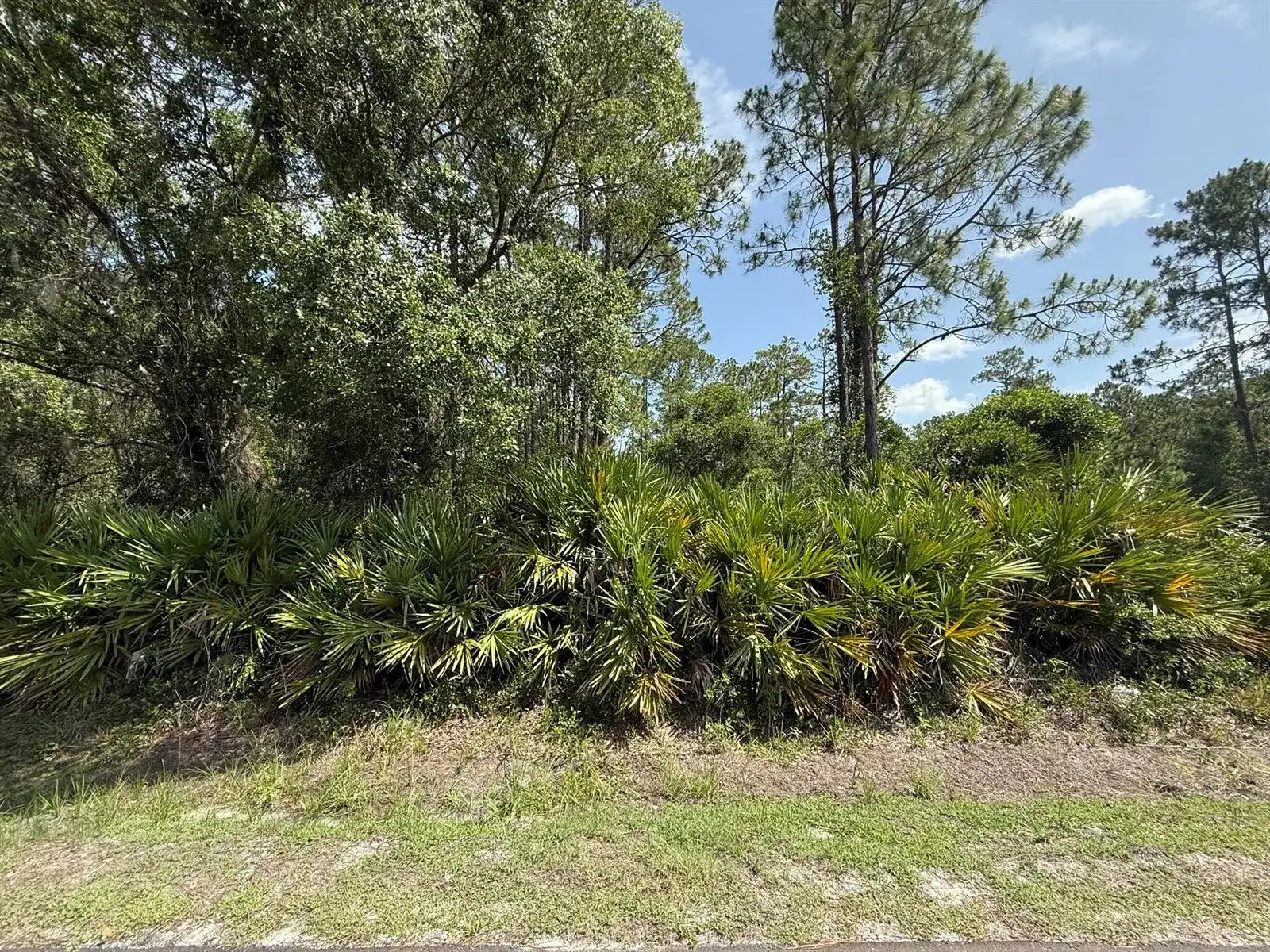 174 Millican Road, Palatka FL 32177 photo 4
