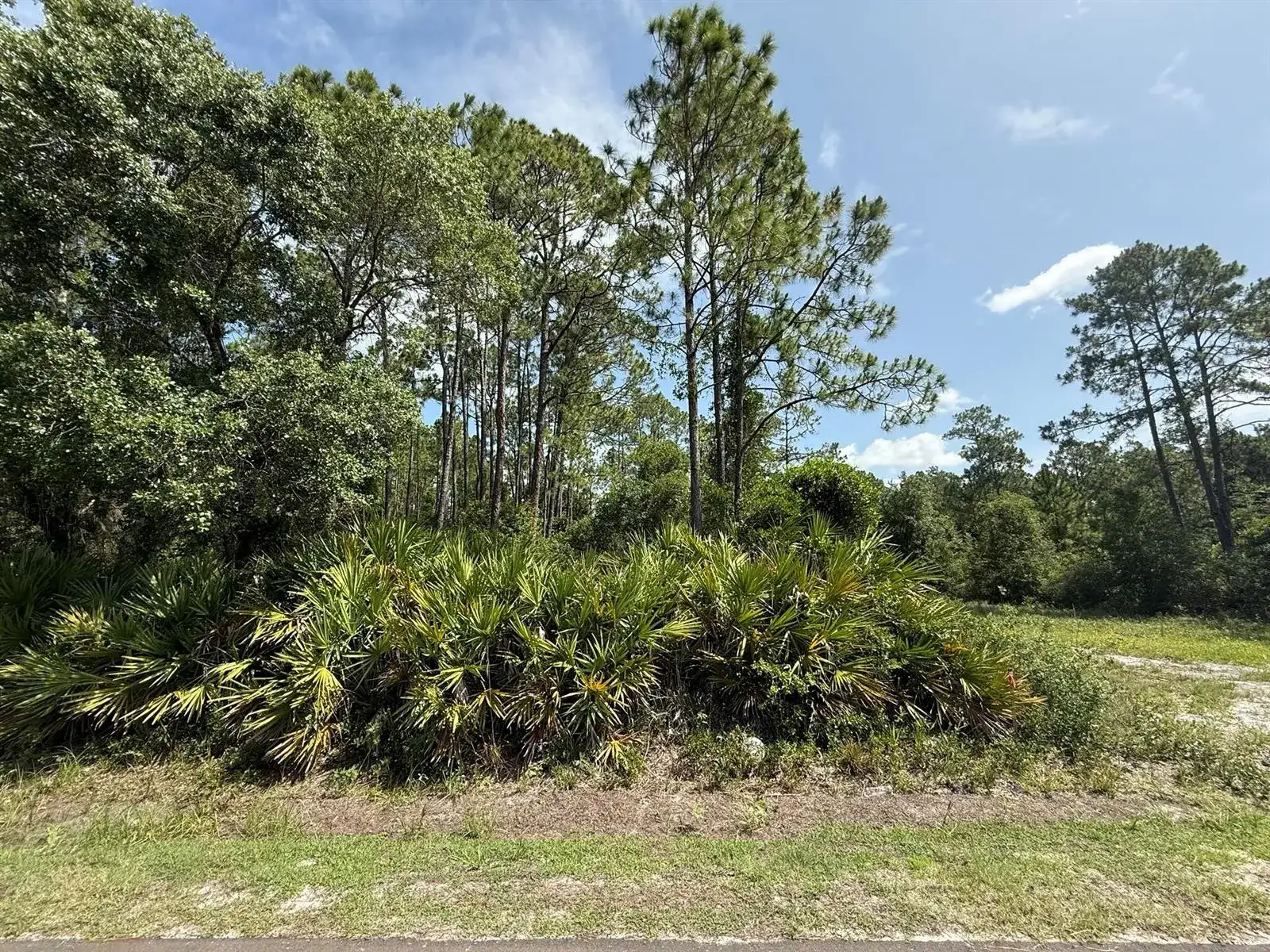 174 Millican Road, Palatka FL 32177 photo 5