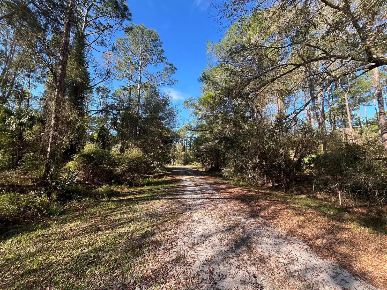 104 SE 5th Street, FL 32139 photo 2